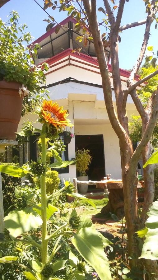 نوفارا إيلِيا Redwood Homestay المظهر الخارجي الصورة
