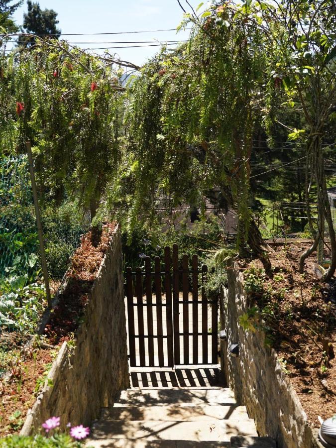 نوفارا إيلِيا Redwood Homestay المظهر الخارجي الصورة