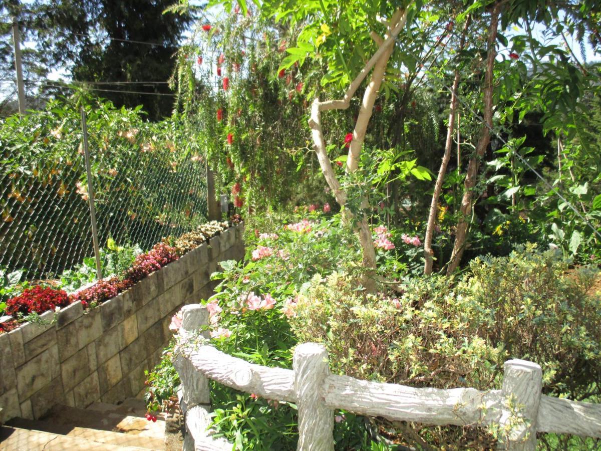 نوفارا إيلِيا Redwood Homestay المظهر الخارجي الصورة