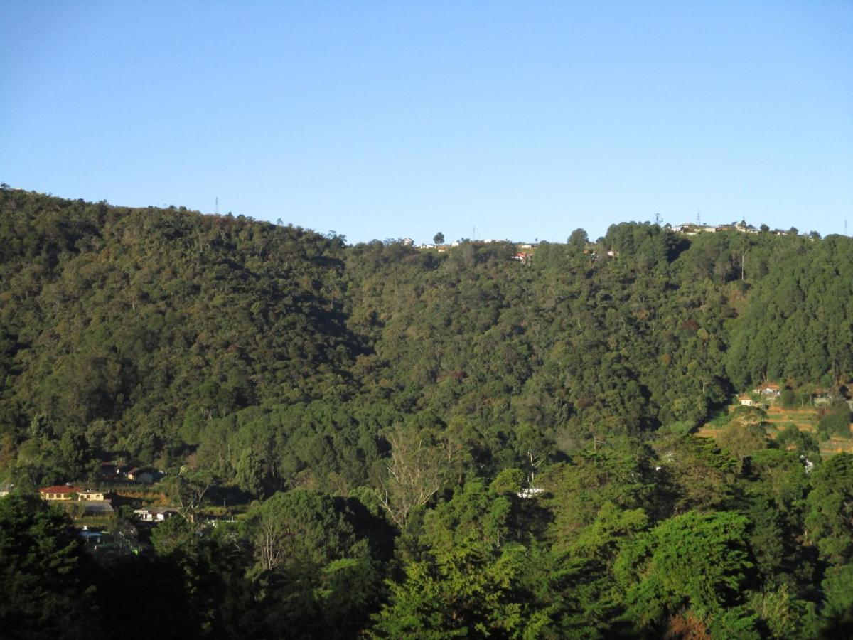 نوفارا إيلِيا Redwood Homestay المظهر الخارجي الصورة
