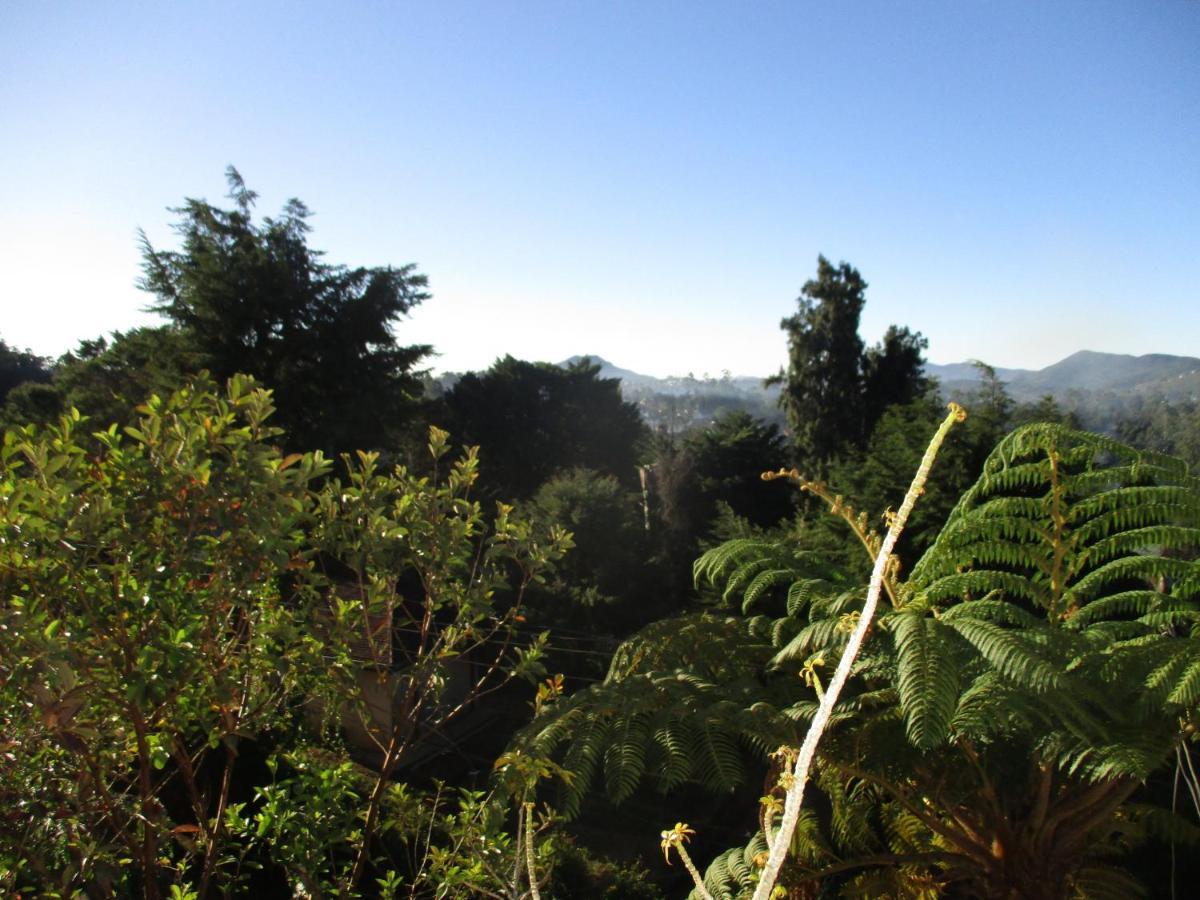 نوفارا إيلِيا Redwood Homestay المظهر الخارجي الصورة